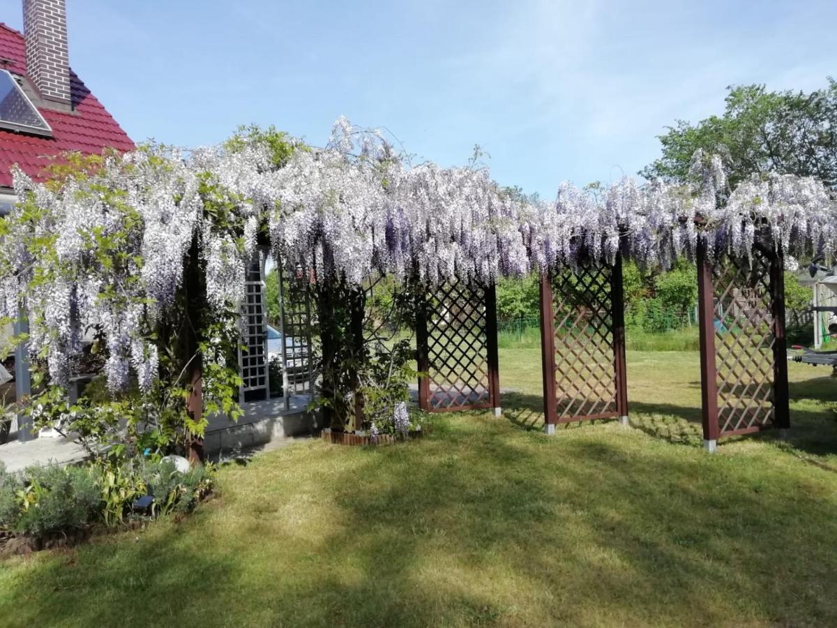 Vila Domek Letniskowy Szuwarek Svinoústí Exteriér fotografie
